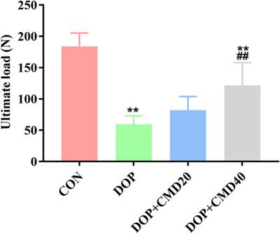 Cinnamaldehyde attenuates streptozocin-induced diabetic osteoporosis in a rat model by modulating netrin-1/DCC-UNC5B signal transduction